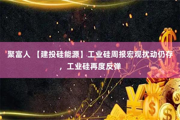 聚富人 【建投硅能源】工业硅周报宏观扰动仍存,工业硅再度反弹